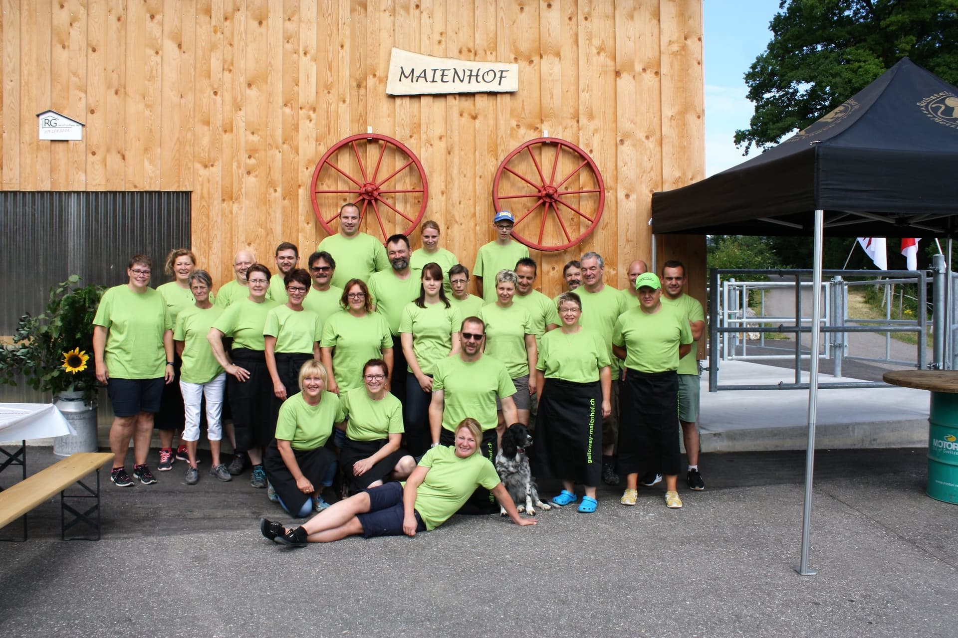 Galloway Galeriebild 035